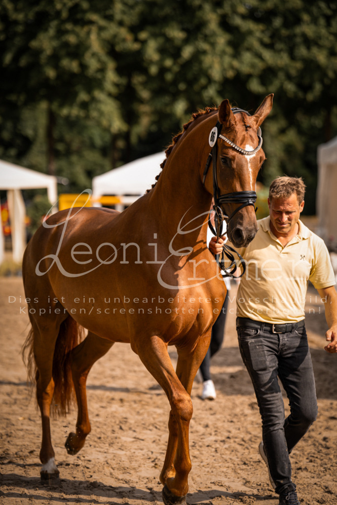 FrER00123 | Leoni Ertmer Photography - Realisiert mit Pictrs.com