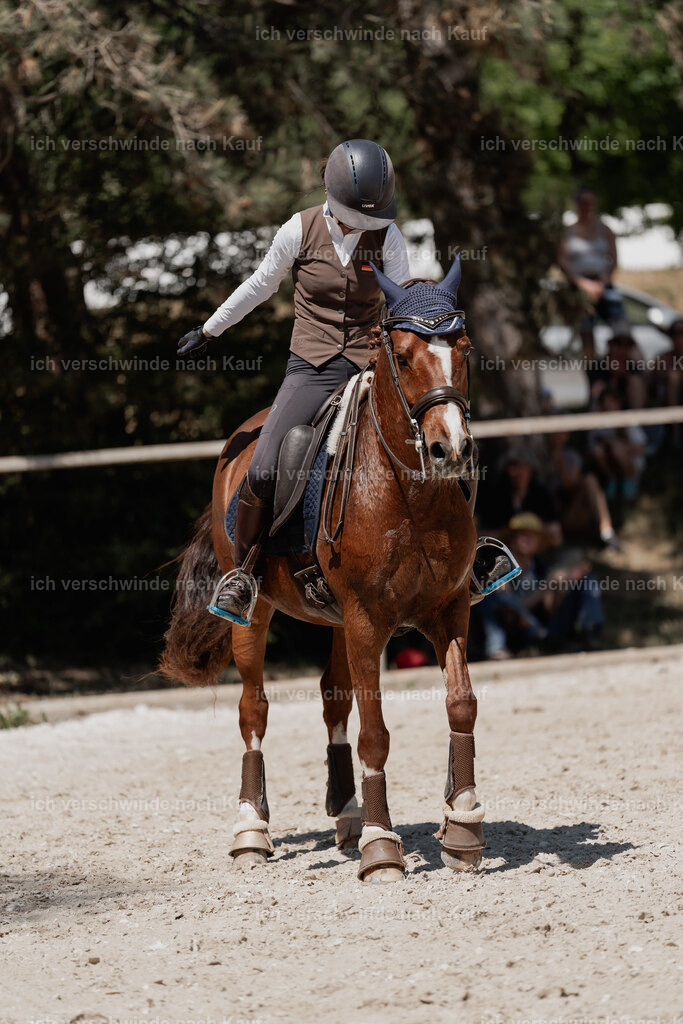 WE_SP_Stoib_342_PI2025_1827 | Pferd International München 2025