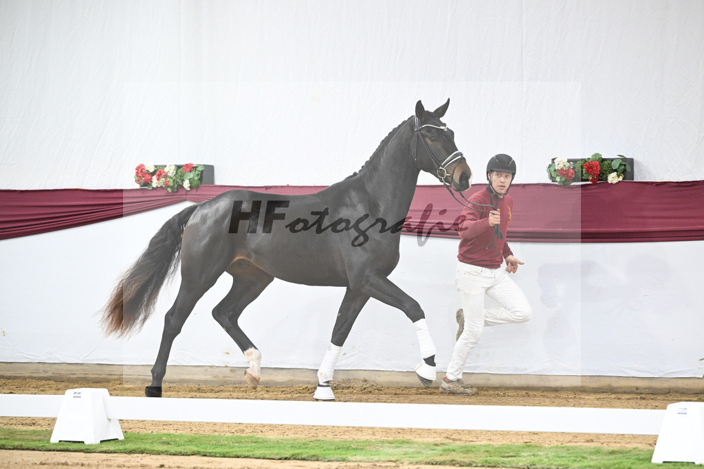 Kat-Nr. 31 In My Mind x Fidertanz_Uwe Kraft_47251043 | hf-fotografie - Realisiert mit Pictrs.com