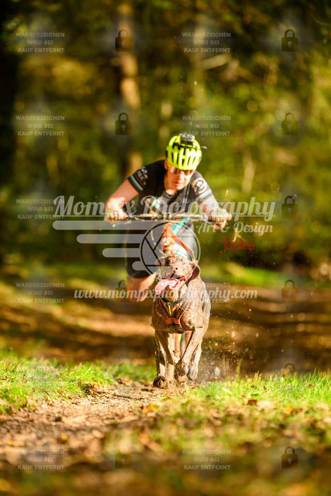 MompixPhotography_20TSB_E1_DS1-25 | PayLife