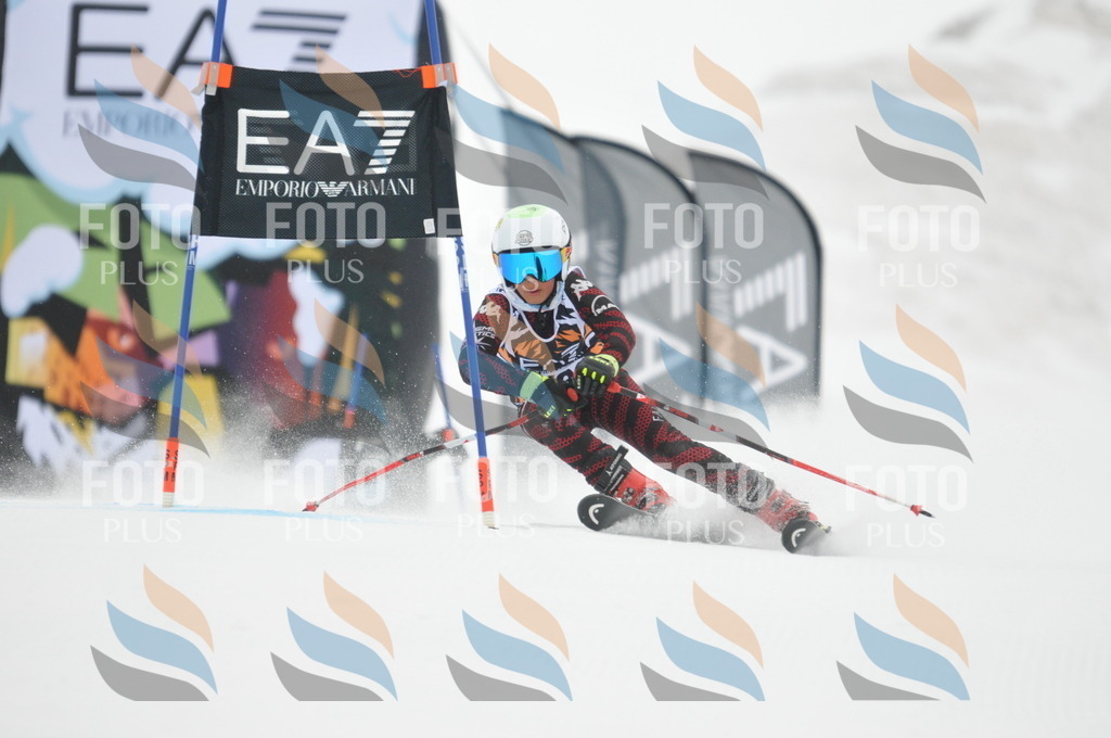 DSC_7876 | holidayphoto