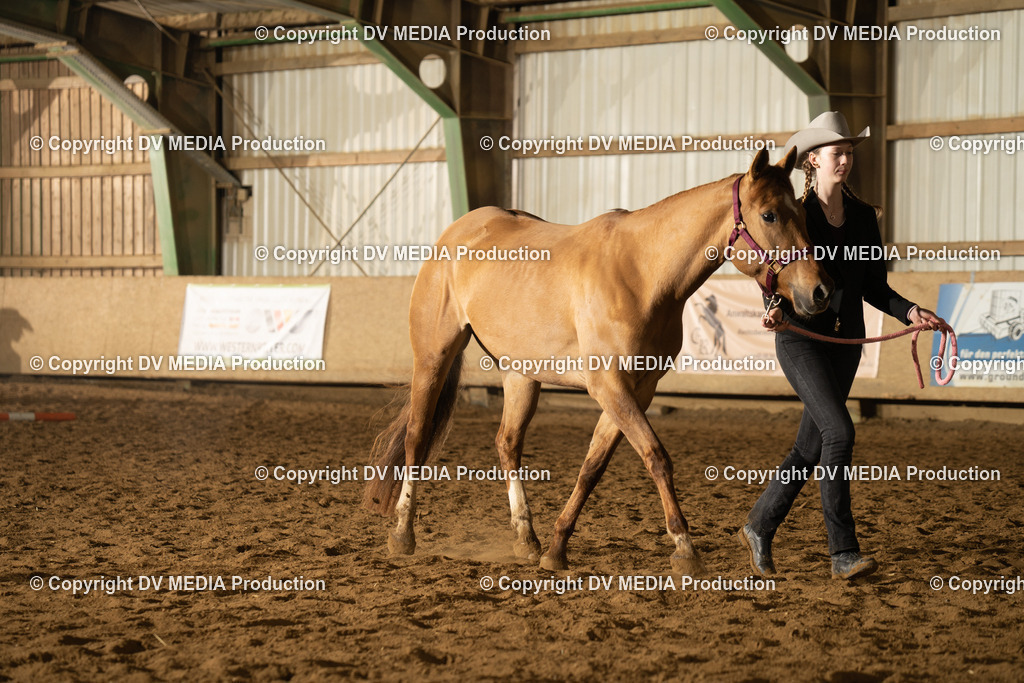 BAL01213 | dv-media-shop - Realisiert mit Pictrs.com