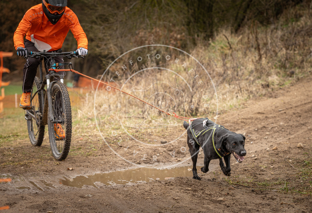DV3A1690 | Hundefotografie, Tierfotograf, Pfotenfotografie, Fotoshooting Hund, Hunde Portrait, Hundesport, Hundeportraits, Heideshooting, Hunde, Sportfotograf, Hundefotograf, Turnierhundsport, THS,  - Realisiert mit Pictrs.com
