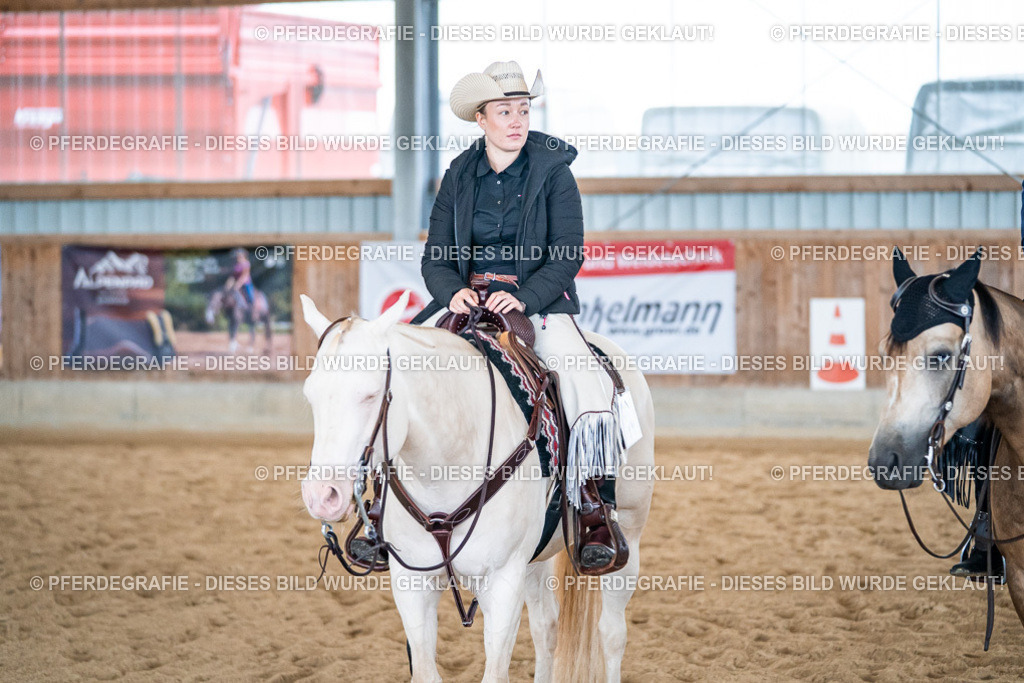 DSC03462 | Pferdegrafie