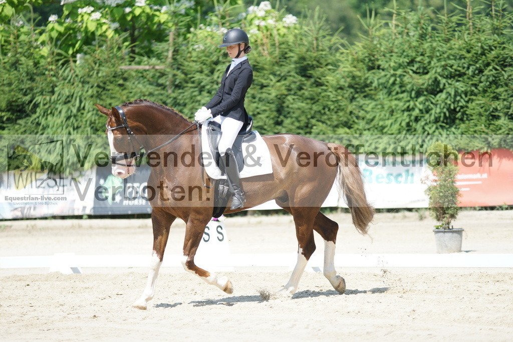 DSC01636 | equestrian-live-com