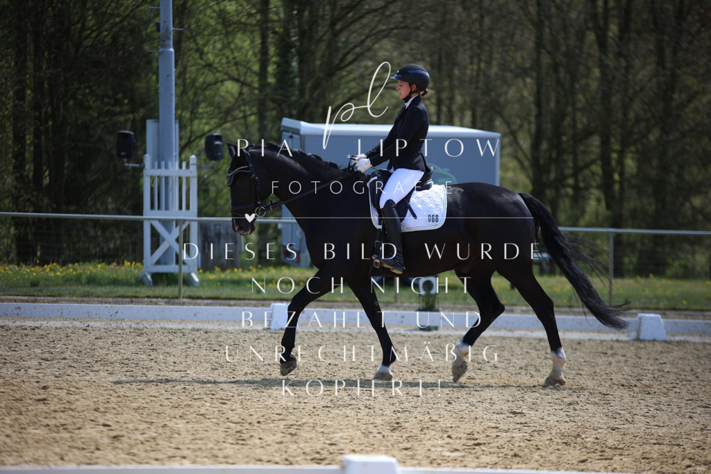 IMGT2681 | pl-fotografie