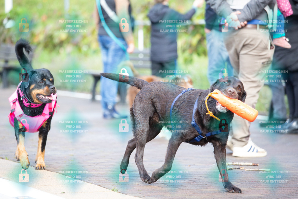 _HP_7497_1000o | HetPix, HetPix Fotodesign, Fotografie, Fotodesign, Webshop, Sportfotografie, Portraitfotografie, Onlineshop, Sportfotografie, Polch, Motorsportfotografie, Eventfotografie