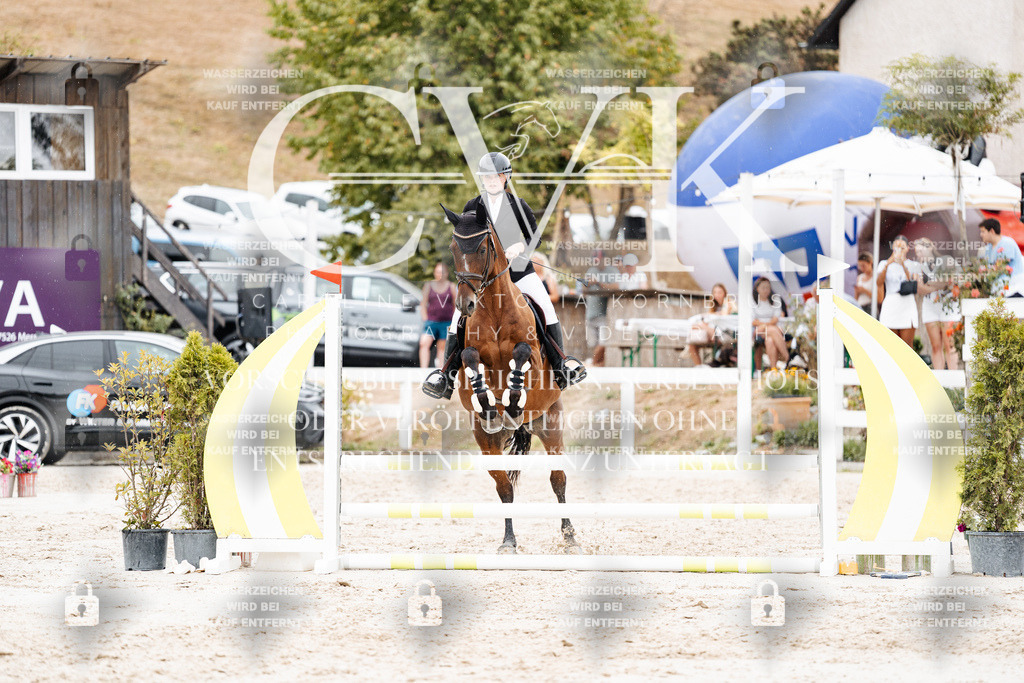 CK908462 | Turnierfotografie Pferdefotografie Trier Rheinland-Pfalz Pferdesport Reitsport Tierfotografie Sportfotografie Pferdevideo Pferdevideografie Equestrianvideography equestrianphotography  - Realisiert mit Pictrs.com