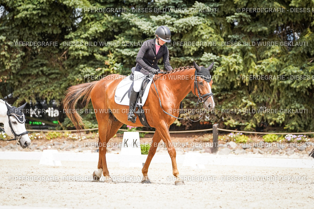 DSC03894 | Pferdegrafie