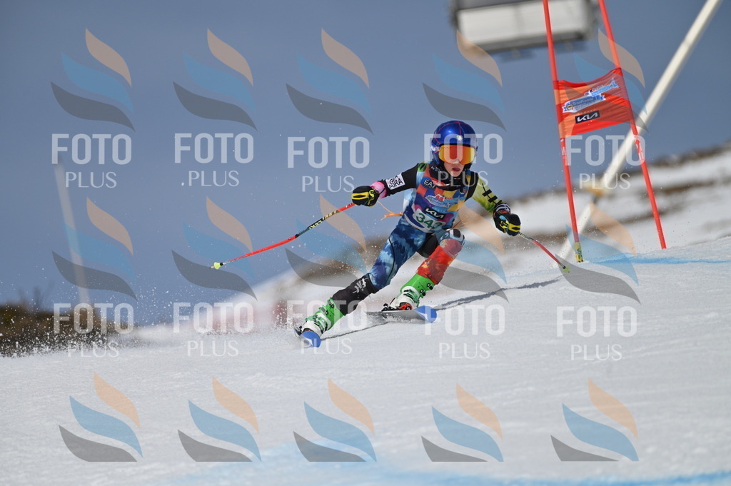 BGV_6815 | holidayphoto