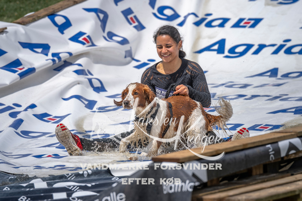 1155_ZZ94259 | kk-dogfotos