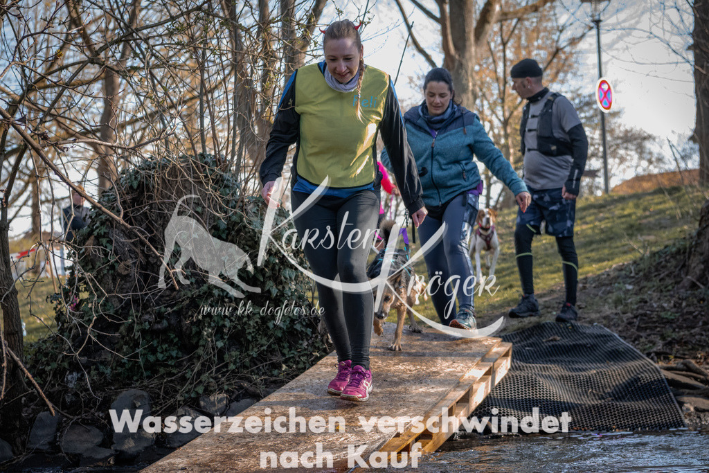 0828_ZZ91293 | kk-dogfotos