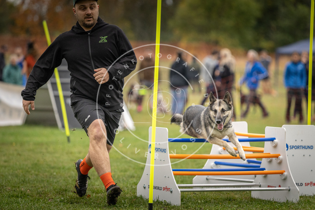 Pfotenfotografie_DV3A9640 | Hundefotografie, Tierfotograf, Pfotenfotografie, Fotoshooting Hund, Hunde Portrait, Hundesport, Hundeportraits, Heideshooting, Hunde, Sportfotograf, Hundefotograf, Turnierhundsport, THS,  - Realisiert mit Pictrs.com
