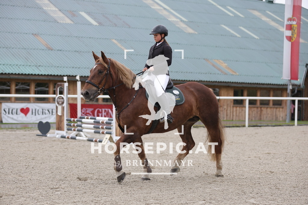 0P6A7429 | Willkommen bei Brunnmayr - Design & Fotografie – Ihrem Spezialisten für Reitturniere und Pferdeveranstaltungen in Oberösterreich, Salzburg und Bayern! Seit über 17 Jahren sind wir leidenschaftlich dabei.