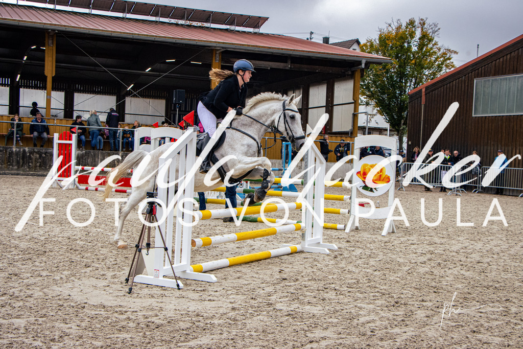 IMG_3704 | Erleben Sie dynamische Sport- und emotionale Tierfotografie in Süddeutschland mit Fotos von Paula. Spezialisiert auf Pferde- und Hundefotografie sowie Sportevents. Kontaktieren Sie mich für einzigartige und ausdrucksstarke Bilder Ihrer besonderen Momente. - Realisiert mit Pictrs.com