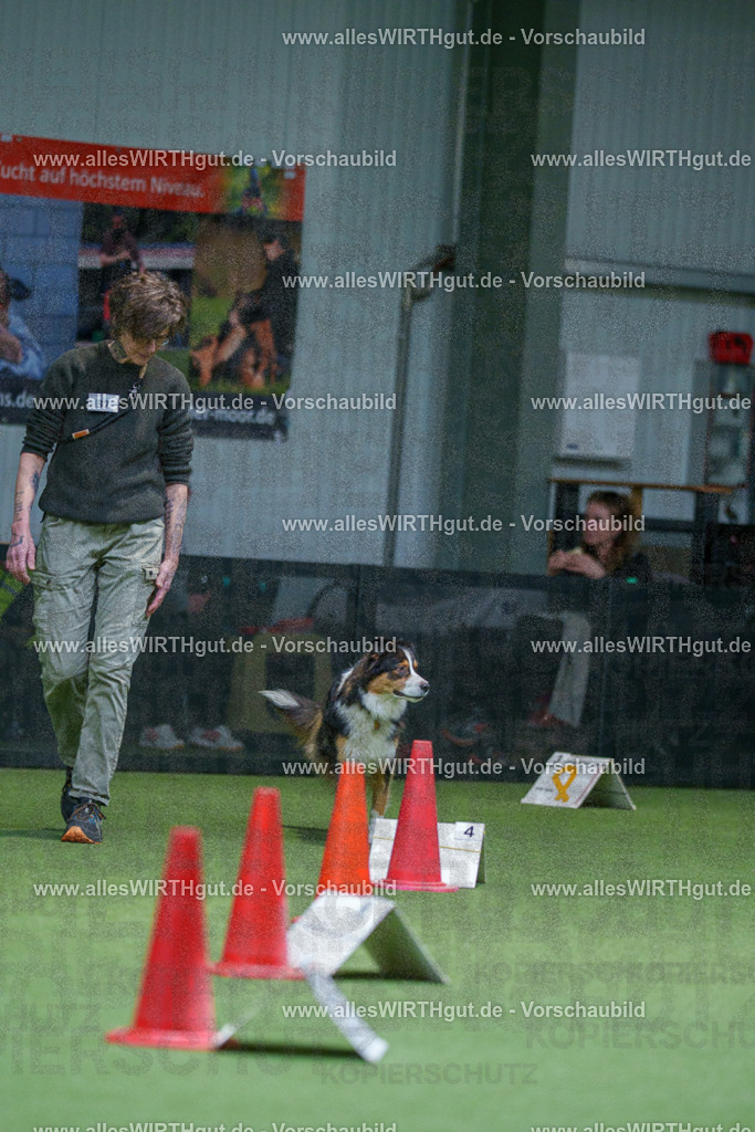 7R506027 | Professionelle Tierfotografie in Mönchengladbach von Daniel Wirth (allesWIRTHgut). Liebevolle & natürliche Bilder von Hunden & Katzen für unvergessliche Erinnerungen.