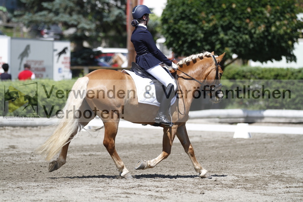 _MG_3885 | equestrian-live-com