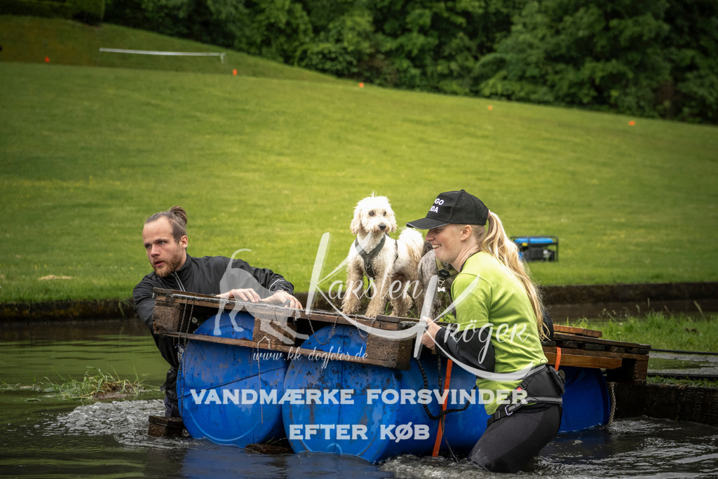 1615_ZZ96618-2 | kk-dogfotos