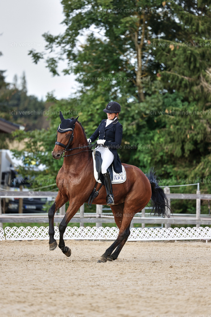 13-072-S___ -StoibPH-7003 | working equitationturnier fotograf videograf stoibphotography marixx film working equitation deutschland reitsport turnierfotografie eventfotografie equestrian events