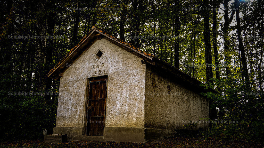 Waldhaus | Haus im Wald - Realisiert mit Pictrs.com