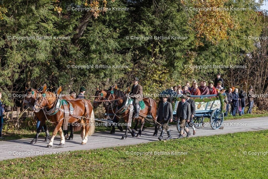 LBT24-354 | foto-bettina-krinner - Realisiert mit Pictrs.com