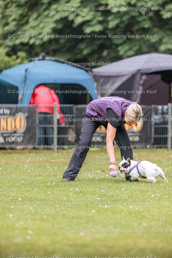 RO-Blumenthal-2026-Nickbest-Hundefotografie-0094 | Dein Hund! Dein Moment! Deine Erinnerungen! Hundefotografie in Bremen Blumenthal. Ich fange die besonderen Momente deines Vierbeiners ein – ob Indoor mit Blitzanlage oder in der freien Natur. Sicher dir dein Moment und dein Termin für eure Erinnerungen.