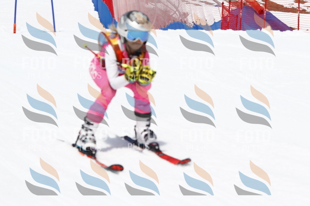 _U3G7889 | holidayphoto