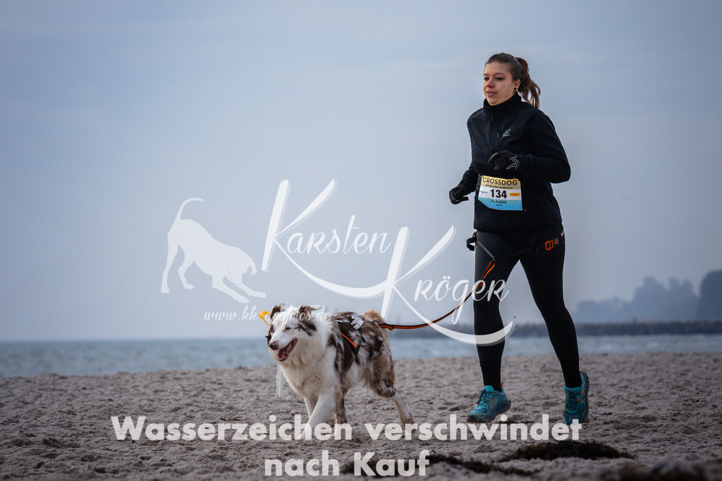 1040_ZZ96048 | kk-dogfotos