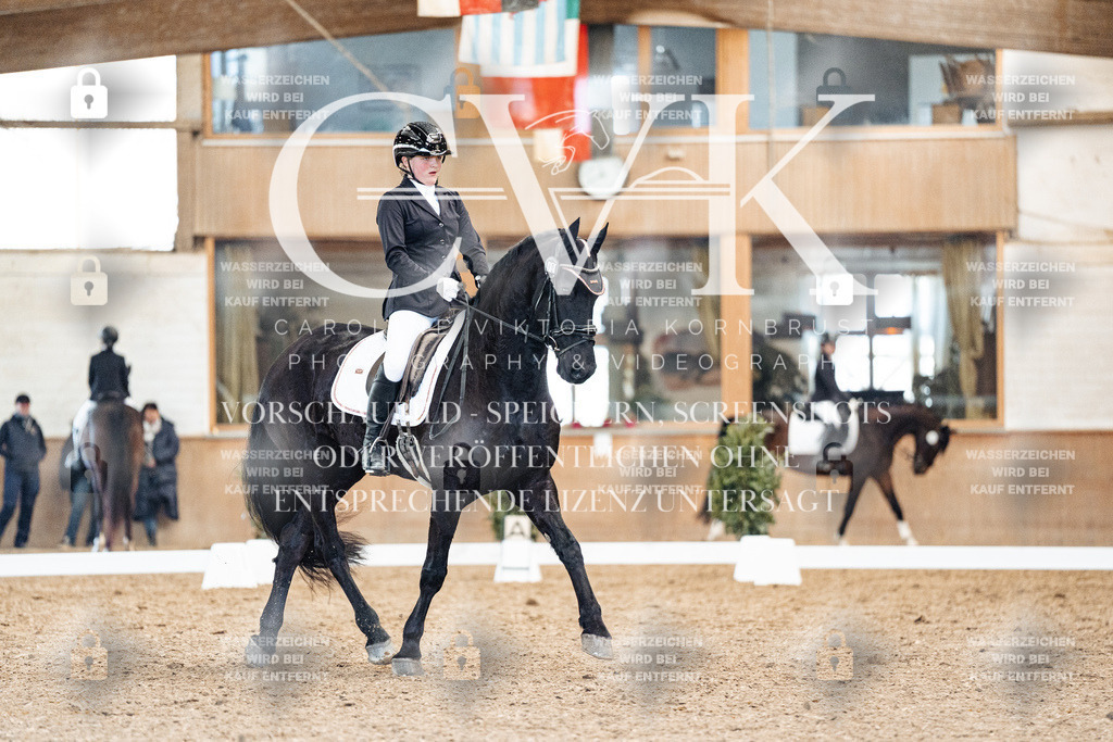 CK909723 | Turnierfotografie Pferdefotografie Trier Rheinland-Pfalz Pferdesport Reitsport Tierfotografie Sportfotografie Pferdevideo Pferdevideografie Equestrianvideography equestrianphotography  - Realisiert mit Pictrs.com