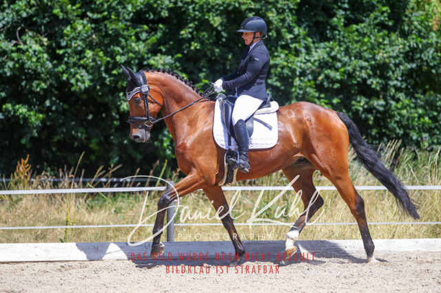 DKP46523 | Turniersportfotografie; Pferdefotografie; Dressurfotografie