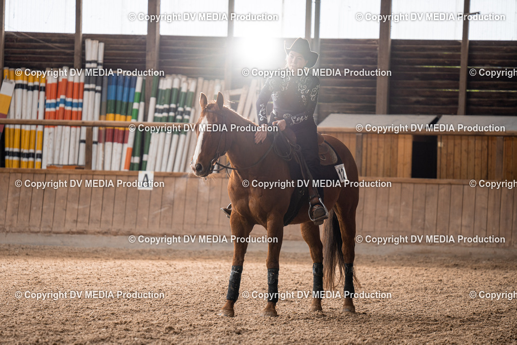 Heidelberg Tag 1-423 | dv-media-shop - Realisiert mit Pictrs.com