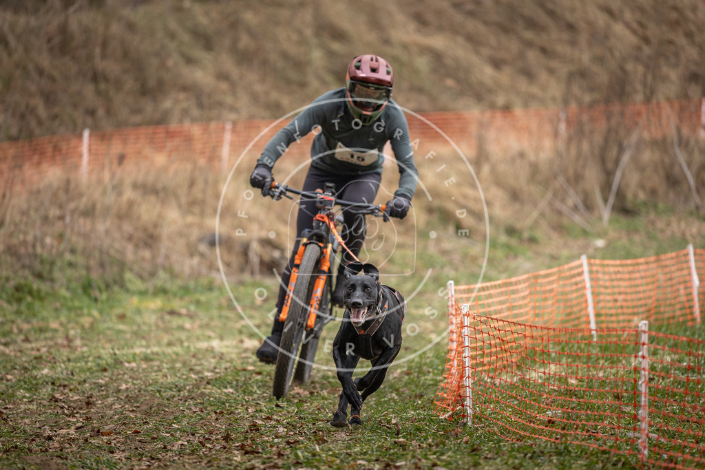 Pfotenfotografie_DV3A6866 | Hundefotografie, Tierfotograf, Pfotenfotografie, Fotoshooting Hund, Hunde Portrait, Hundesport, Hundeportraits, Heideshooting, Hunde, Sportfotograf, Hundefotograf, Turnierhundsport, THS,  - Realisiert mit Pictrs.com