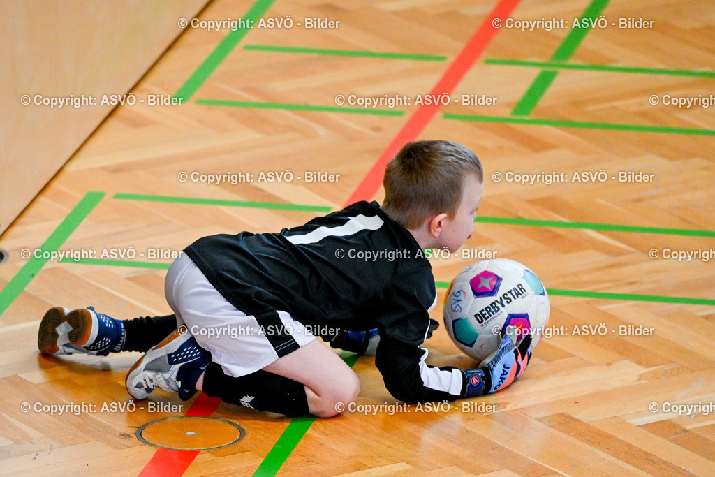 ASVÖ_ Fussball Nachwuchs Hallenturnier 2026_ SV Gallneukirchen_ 28.02.2026-291 | 28.02.2026, Gallneukirchen, AUT, ASVÖ, Fussball Nachwuchs Hallenturnier 2026, SV Gallneukirchen im Bild Teilnehmer U7©Harald Dostal / fodo.media - Realisiert mit Pictrs.com