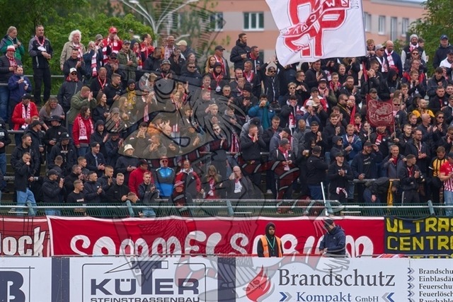 BFC Dynamo vs. FSV Zwickau 024 | mythos-online-redaktion