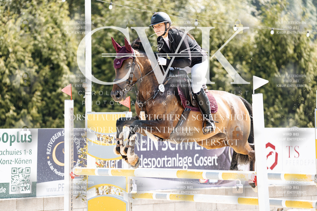 CK908898 | Turnierfotografie Pferdefotografie Trier Rheinland-Pfalz Pferdesport Reitsport Tierfotografie Sportfotografie Pferdevideo Pferdevideografie Equestrianvideography equestrianphotography  - Realisiert mit Pictrs.com