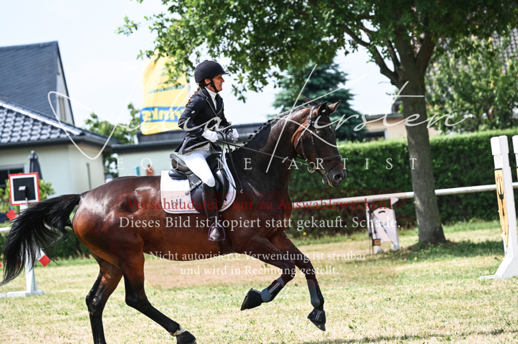 DSC_8892 | Pferde- und Turnierfotografie in Westsachsen. Pferdeportraits, Auftragszeichnungen und intuitive Kunst.