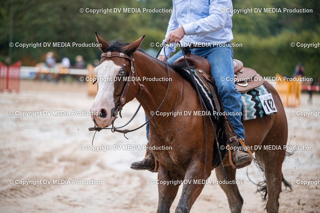 ZS2_4274 | dv-media-shop - Realisiert mit Pictrs.com