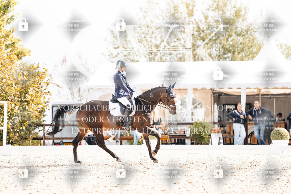 CK901482 | Turnierfotografie Pferdefotografie Trier Rheinland-Pfalz Pferdesport Reitsport Tierfotografie Sportfotografie Pferdevideo Pferdevideografie Equestrianvideography equestrianphotography  - Realisiert mit Pictrs.com