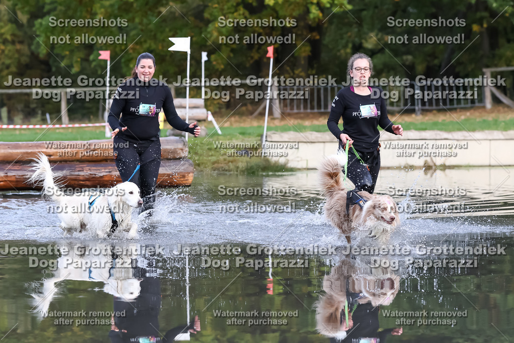 Dog Paparazzi - Strongdog 10-25-6907 | Dog Paparazzi Jeanette Grottendiek Fotografie & Videografie - Realisiert mit Pictrs.com