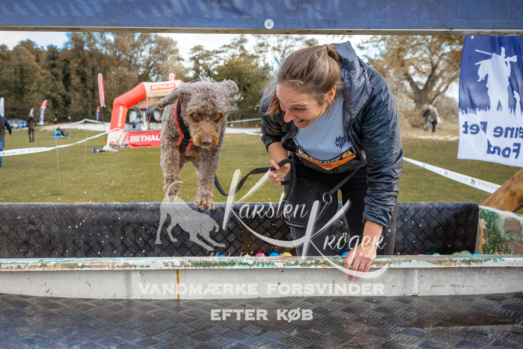 1511_ZZ96120 | kk-dogfotos