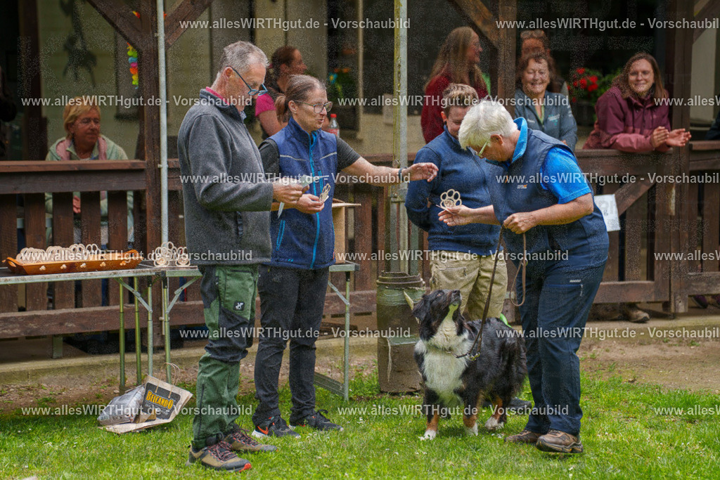 @allesWIRTHgut_Tierfotografie - www.allesWIRTHgut.de - 115018-7R508620 | Professionelle Tierfotografie in Mönchengladbach von Daniel Wirth (allesWIRTHgut). Liebevolle & natürliche Bilder von Hunden & Katzen für unvergessliche Erinnerungen.
