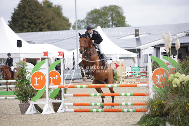 1J2A2390Henry Delfs_ Chapman D_ Kn201_ Havekost | Foto- und Videografie für alles rund ums Pferd. Hochwertige Bilder und Videos vom Spring- und Dressurreiten, Voltigieren & mehr. Jetzt aktuelle Veranstaltungen und Preise im Shop ansehen. - Realisiert mit Pictrs.com