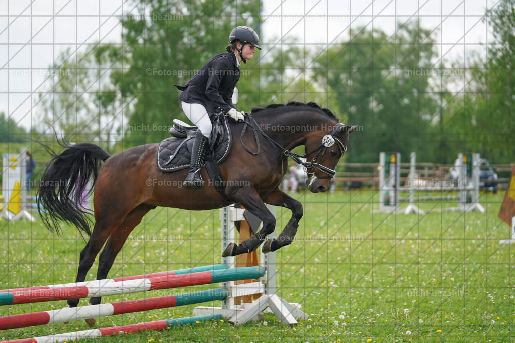 20240509-FAH02498 | Turnierbilder der Turnierfotografen Bayern, Pferdesport Fotografie, Reitsportbilder, Turnier Landberg am Lech, Turnierbilder bayern, Fotoagentur Herrmann