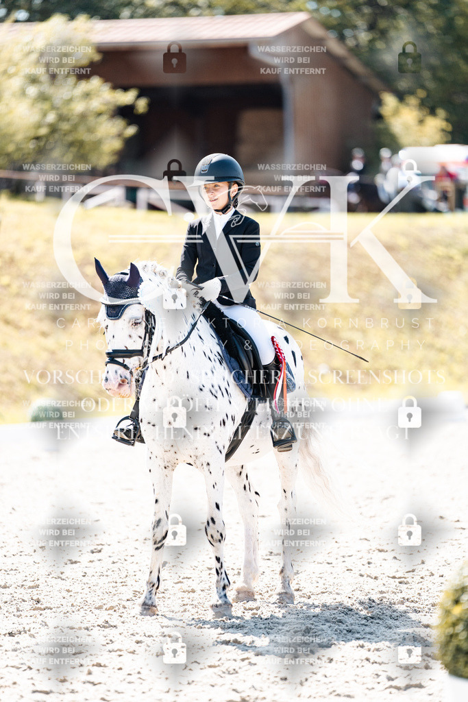 CK904238 | Turnierfotografie Pferdefotografie Trier Rheinland-Pfalz Pferdesport Reitsport Tierfotografie Sportfotografie Pferdevideo Pferdevideografie Equestrianvideography equestrianphotography  - Realisiert mit Pictrs.com