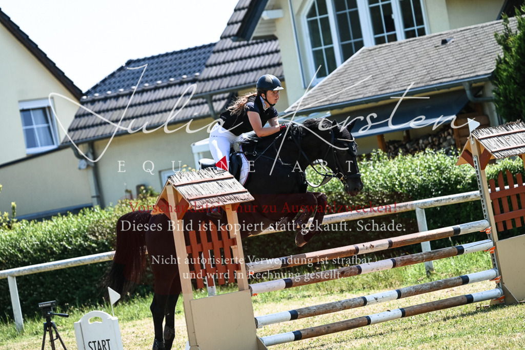 DSC_0512 | Pferde- und Turnierfotografie in Westsachsen. Pferdeportraits, Auftragszeichnungen und intuitive Kunst.