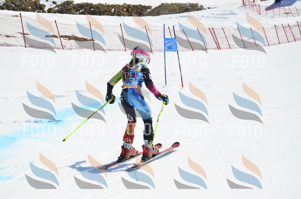 _ELE0825 | holidayphoto