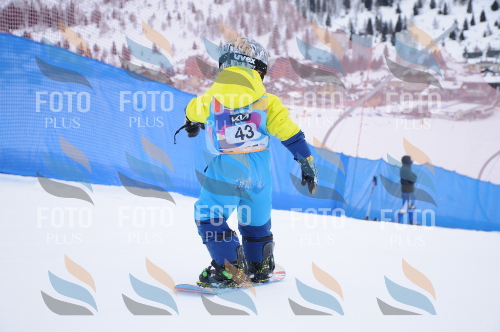 DSC_0149 | holidayphoto