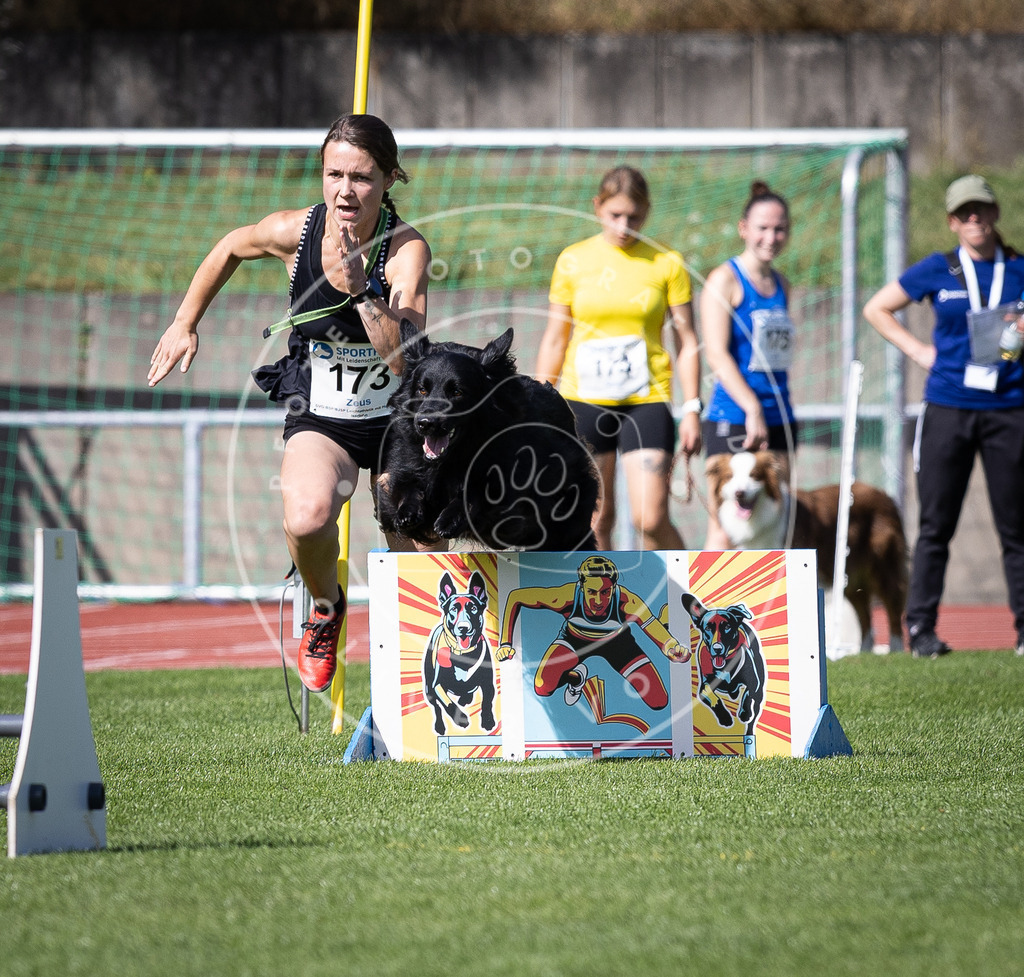 Pfotenfotografie_DV3A0010 | Hundefotografie, Tierfotograf, Pfotenfotografie, Fotoshooting Hund, Hunde Portrait, Hundesport, Hundeportraits, Heideshooting, Hunde, Sportfotograf, Hundefotograf, Turnierhundsport, THS,  - Realisiert mit Pictrs.com
