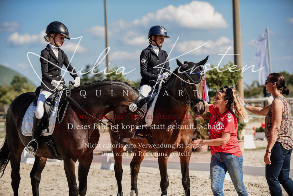 DSC_9803 | Pferde- und Turnierfotografie in Westsachsen. Pferdeportraits, Auftragszeichnungen und intuitive Kunst.