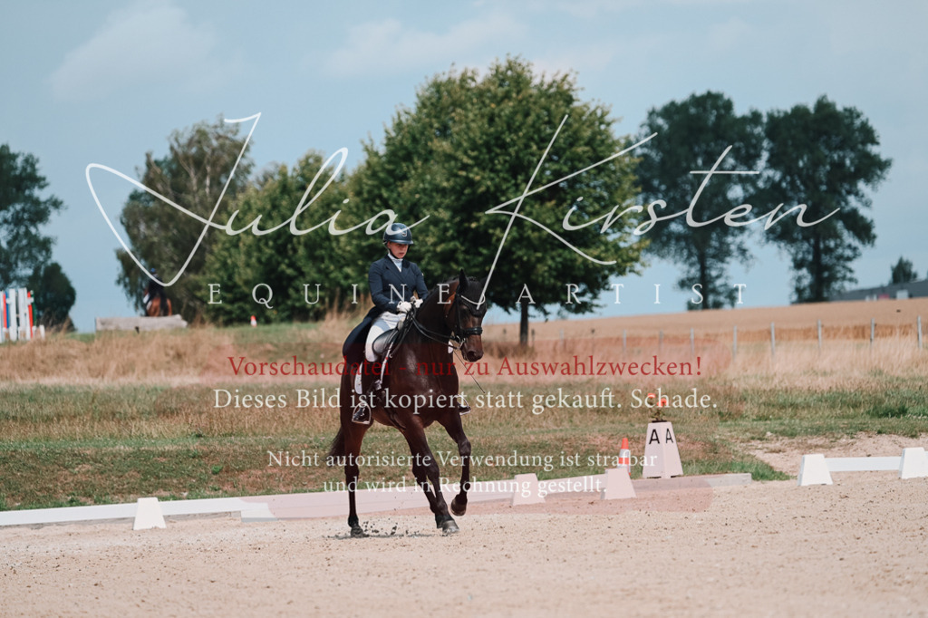 DSC_4315-2 | Pferde- und Turnierfotografie in Westsachsen. Pferdeportraits, Auftragszeichnungen und intuitive Kunst.